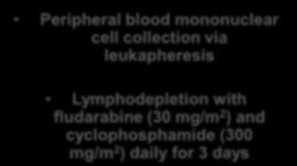 CRB-401: Phase 1 dose escalation study of bb2121 CAR T cell therapy in RRMM RRMM patients 3 prior regimens* 50% BCMA expression on plasma cells N=21 Peripheral blood mononuclear cell collection via