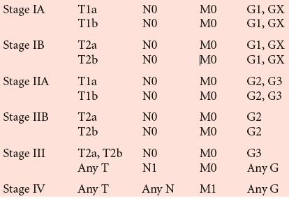 25 ΠΙΝΑΚΑΣ 5 : Σταδιοποίηση των σαρκωµάτων 15 The AJCC Cancer Staging Manual: Seventh Edition, Springer, New York, 2010.