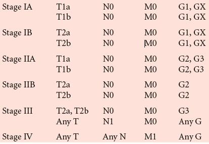 25 ΠΙΝΑΚΑΣ 5 : Σταδιοποίηση των σαρκωµάτων 15 The AJCC Cancer Staging Manual: Seventh Edition, Springer, New York, 2010.