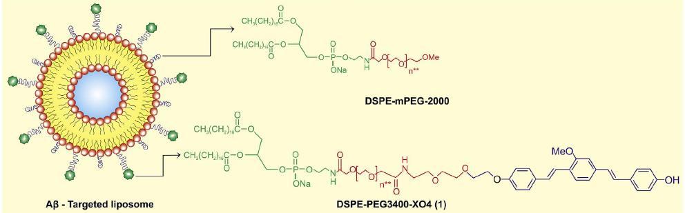 Transferrin-modified liposomes Όπως αναφέραμε, η τρανσφερρίνη συμμετέχει στον μηχανισμό πρόσληψης μορίων από τον ΒΒΒ. Έχει μελετηθεί η χρήση της a-m ξανθόνης σε stealth λιποσώματα.