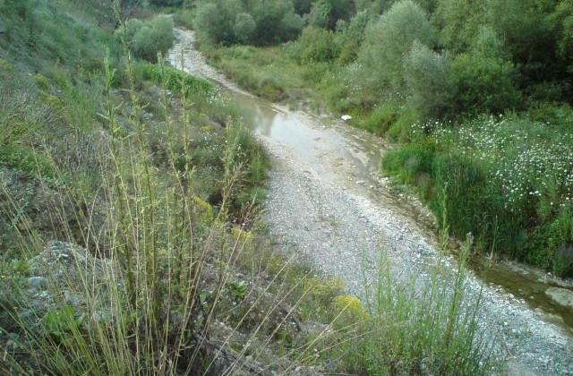 Ο Γρεβενίτης ονομαζόταν παλιότερα Αυλίτης, από την παλιά ονομασία των Γρεβενών «Αυλαίς», που σημαίνει τον προσωρινό καταυλισμό των ταξιδιωτών, καθώς η περιοχή υπήρξε διαχρονικός σταθμός μεταξύ