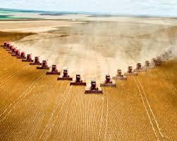 Πιέσεις - Απειλές Τα αγρο-οικοσυστήματα υπόκεινται σε ποικίλες πιέσεις -αυξημένη ζήτηση (τροφή, βιοκάυσιμα κλπ) & -ταυτόχρονη απαίτηση διατήρησης φυσικών