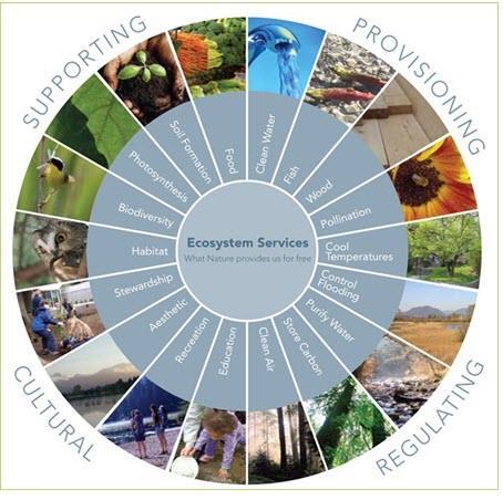 Πολλαπλές υπηρεσίες στα αγρο-οικοσυστήματα Ανάγκη για διαχειριστικά πλαίσια που ενισχύουν: -τη γεωργική παραγωγή & -την παροχή πολλαπλών οικοσυστημικών υπηρεσιών