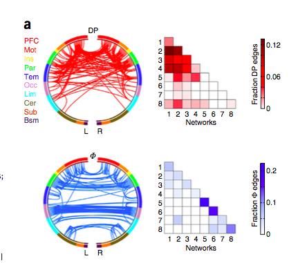 Fnctional connectome fingerprinting: identifying individals sing patterns of brain connectivity E. S Finn et al.