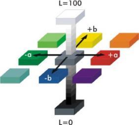 Εικόνα 8. Ο χρωματικός χώρος CIELAB (1976) Πρόκειται για ένα τρισδιάστατο σύστημα με άξονες τις τιμές L*, a* και b* και την αρχή των αξόνων να τοποθετείται στο κέντρο του L*.