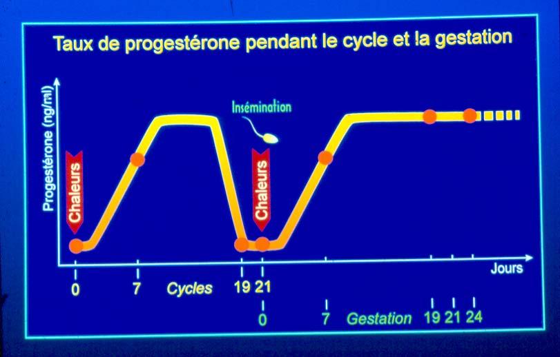 Taux de progestérone pendant