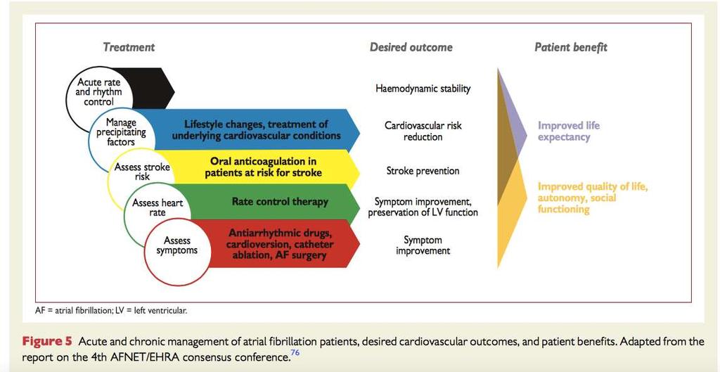 ESC guidelines for