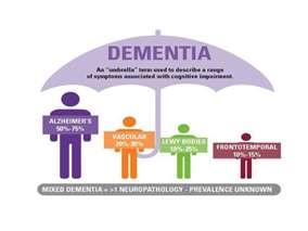 Η άνοια σήμερα Η Άνοια πλήττει το 6% των ανθρώπων άνω των 65 ετών ADI World Alzheimer Report 2015 47.000.000 άτομα με άνοια παγκοσμίως ADI World Alzheimer Report 2015 10.500.