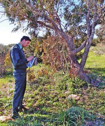 Επιλέχθηκαν έτσι οι κατάλληλες θέσεις που δημιουργήθηκαν τα παραδοσιακά περιβόλια του έργου, οι σπορές δημητριακών/ οσπρίων, οι σχετικές με το νερό υποδομές, τοποθετήθηκαν οι