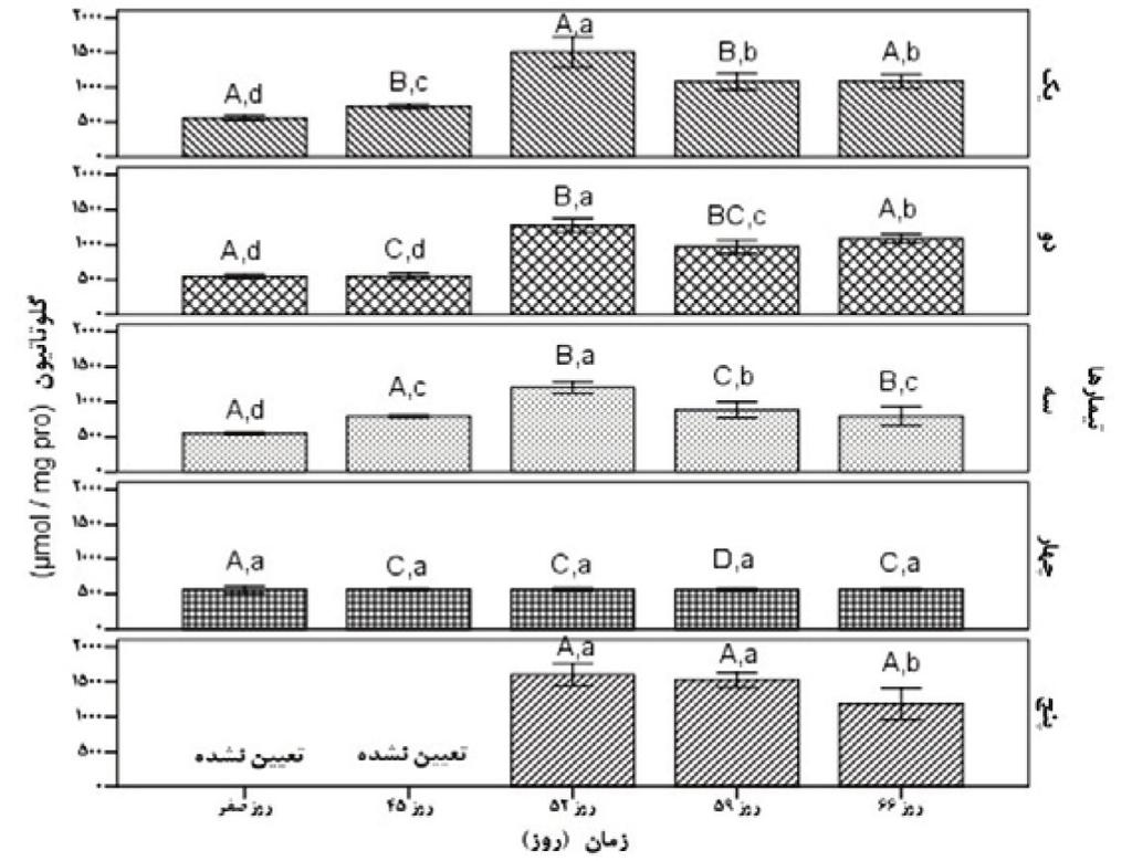 حروف کوچک التین ناهمنام نشانگر اختالف معنیدار در هر سطر و حروف بزرگ ناهمنام نشانگر تفاوت معنیدار در هر ستون است )0/05>p(.