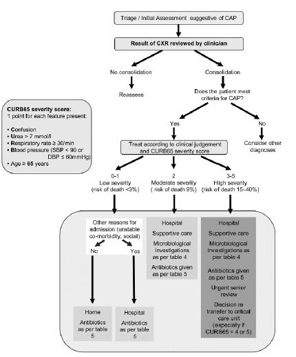 CAP ΤΕΠ BTS GUIDELINES FOR THE