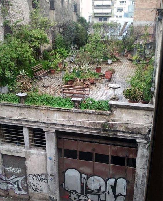 Εικόνα 37 Ταρατσόκηπος σε παλαιά κατασκευή στην Πάτρα 82 82
