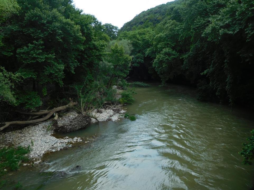 Οι περιοχές Δικτύου Natura 2000 στον Πηνειό Αισθητικό Δάσος της Κοιλάδας Τεμπών (GR1420005 Ε.Ζ.Δ. και Ζ.Ε.Π.) 1.