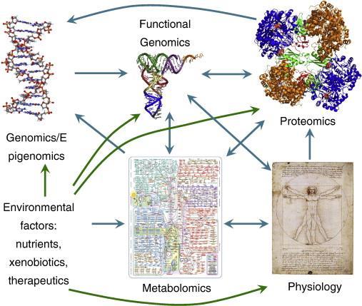 -omics" τεχνολογίες προσδιορισμός