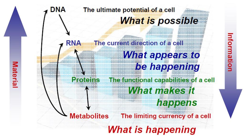 αληθή βιολογικά συμβάντα ( actual biological events) πραγματικά τελικά προϊόντα (real-world end points) Nicholson JK, Connelly
