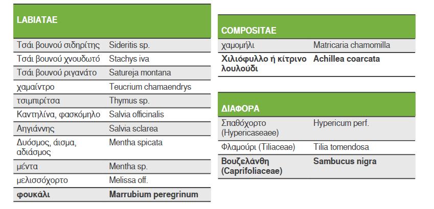 Παραδοσιακά αρωματικά φυτά - Λατινικές Ονομασίες Εικόνα 3: Λατινικές