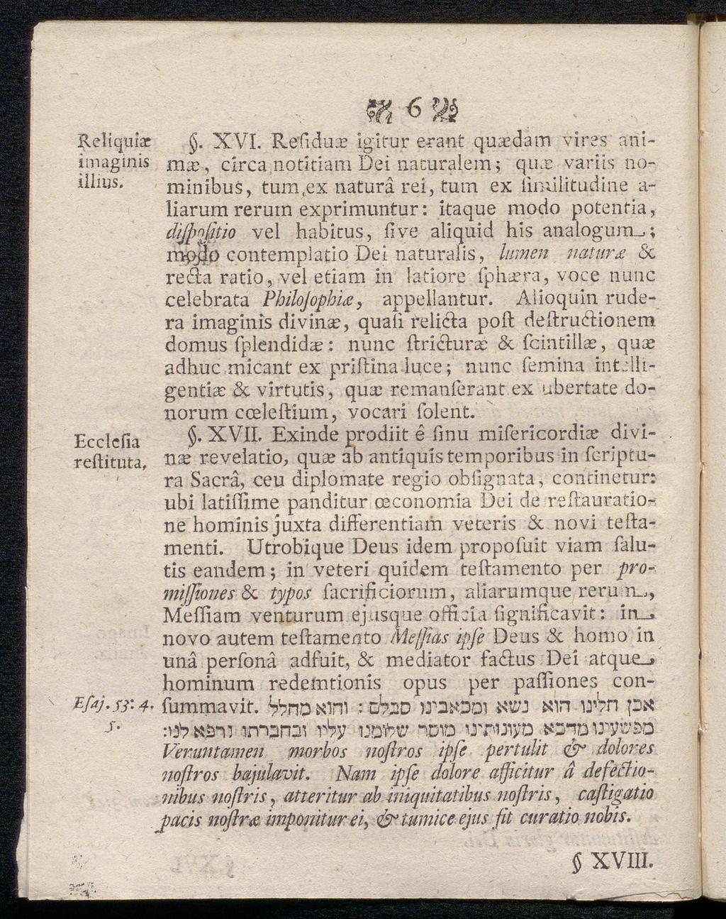Reliquiar imaginis illms. Ecclciia reftituta, Wi ^ ^. XVI.