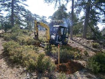 RESTORATION OF THE FLORISTIC COMPOSITION AND STRUCTURE The conservation status of Juniper forests in Natura 2000 sites ranged from good to poor when the project started.
