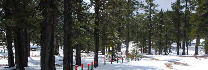 VISITOR MANAGEMENT INTERVENTIONS AND INFRASTRUCTURE The Troodos NFP and the Akamas Peninsula are two of the most popular destinations for outdoor forest recreation activities in Cyprus, with more