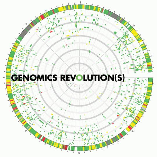Η γονιδιωματική επανάσταση μετασχηματίζει τη βιοχημεία και την ιατρική Την τελευταία δεκαετία έχει προσδιοριστεί η πλήρης αλληλουχία βάσεων των γονιδιωμάτων εκατοντάδων οργανισμών (φυτών, ζώων