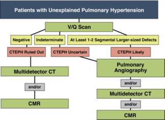 From: Imaging in Pulmonary Hypertension J Am Coll Cardiol Img. 2010;3(12):1287-1295. doi:10.1016/j.jcmg.2010.09.