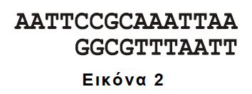 ΰ. υίλδ κπκέβ β. εζπθκπκέβ β. 2016 ΗΜ ΡΗΙΟ Π Ν ΛΗΠΣΙΚ 5. Να κλέ α αεσζκυγα: α. Μ α χβηα δ ηόμ ίαε βλέωθ (ηκθϊ μ 2) ί. Γκθδ δωηα δεά ίδίζδκγάεβ (ηκθϊ μ 3) ΰ.