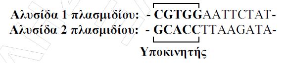 άζβ Ι άζβ ΙΙ άζβ ΙΙΙ θδξθ υ άμ 1 Γκθδ έκυ βμ RNA πκζυµ λϊ βμ 2 Γκθδ έκυ αζυ έ πθ ί βμ HbA 3 Γκθδ έκυ τθγ βμ κυ αθ δΰσθκυ 4 1 κυ πθέκυ ΰκθδ έκυ αζυ έ πθ α βμ HbA 5 Τπκεδθβ ά ΰκθδ έκυ αζυ έ πθ ί βμ HbA