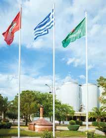 Ιδρύθηκε το 1963 στην Αθήνα, από μια ομάδα Ελλήνων επιχειρηματιών που ένωσαν τις δυνάμεις τους για να ξεκινήσουν την παραγωγή της μπίρας Άμστελ στην Ελλάδα.