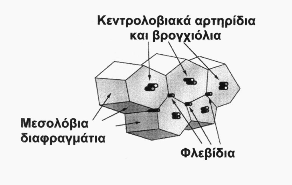 Δευτερογενούς