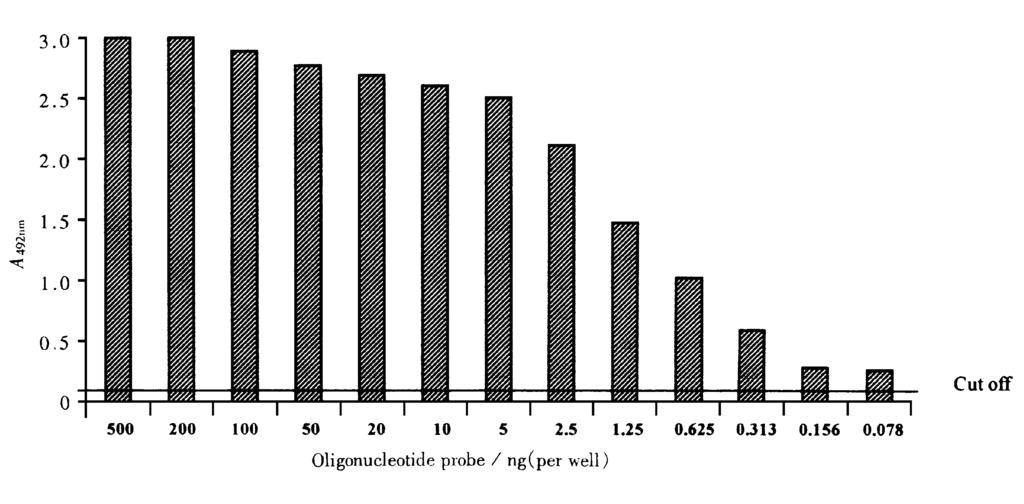 , 145 bp : 50 Λ1 10 Λ1dH 2O, 95 7 m in 5 2CAAA CGGGCAA CA TA CCT T G23, 455 n t 474 n t, 5 5 2CA GA GTCTA GA CTCGT GGT G23, 242 n t 261 n ṫ 94 30 s, 55 30 s, 72 45 ṡ 35, 233 bp 114 10 Λ1, 95 10 m in