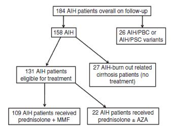 A real-word study on the long-term efficacy of mycophenolate mofetil as