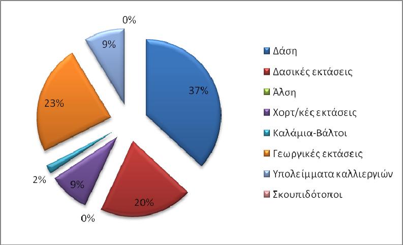 Γράφημα 5: Κατανομή του είδους της καμένης έκτασης (στρέμματα) του Νομού Ηλείας για το 2007 (