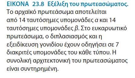 σε κάποιους προκαρυωτικούς.