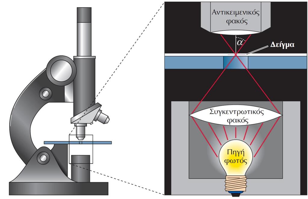 ΕΙΚΟΝΑ 1.22 Αριθμητικό άνοιγμα. Το φως εστιάζεται πάνω στο δείγμα μέσω του συγκεντρωτικού φακού και στη συνέχεια συλλέγεται από τον αντικειμενικό φακό του μικροσκοπίου.