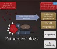 EBV και του HHV-6 σε 29 ασθενείς \ - Aπουσία ακάνθωσης - Τα υπεύθυνα φάρμακα που ενοχοποιούνται για AGEP είναι διαφορετικά από εκείνα για την ψωρίαση Σύνδρομο Stevens-Johnson