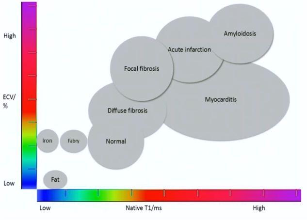 Adapted from