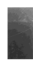 I21 46112 AU gm l, PA I21 3196 Λggm l, 1116 10 4 AU gm g 21313 : W estern b lo t, 43 55 kd PA I21, PA I21 F ig 4 Reverse fibrin2agaro se zymography analysis of inh ibito ry activity of PA I21 A fter