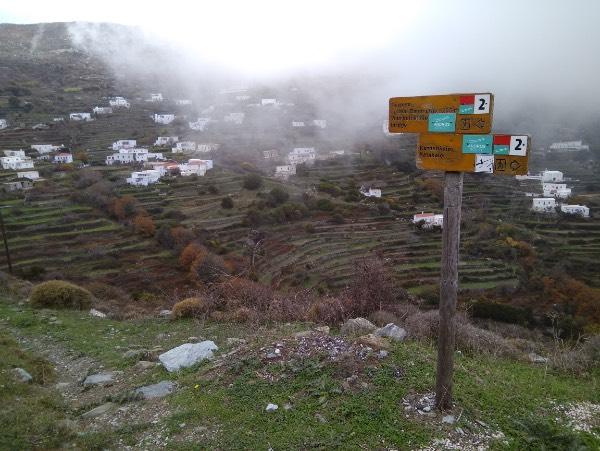 2. Δέσμη από μικρά μανιτάρια του γένους Mycena μέσα σε κουφάλα κορμού σκλήθρου Μερικά μέτρα μετά την πινακίδα βλέπουμε το γραφικό γεφυράκι, και ακριβώς πάνω από αυτό και πίσω από τα πλατάνια