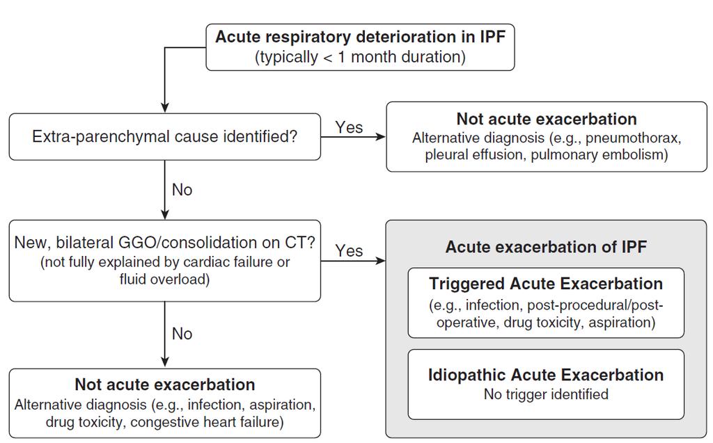 IPF Acute