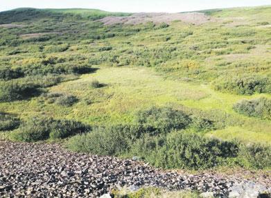 Það var ekki bara kjarrið sem hvarf og gróður sem eyddist heldur hrundi frjósemi þess landsins sem enn er gróið Ég held að hér áður hafi bændur og ráðunautar fallið í þá gryfju mjög víða að ofmeta