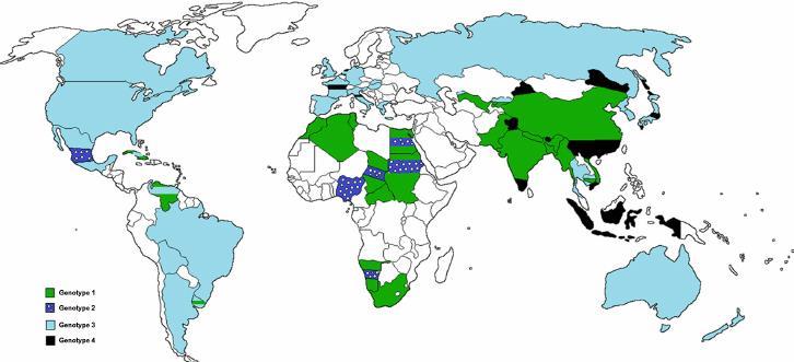 Ηπατίτιδα Ε RNA ιός 4 γονότυποι : 1: Aσία, Αφρική 2: Αφρική, Κ.