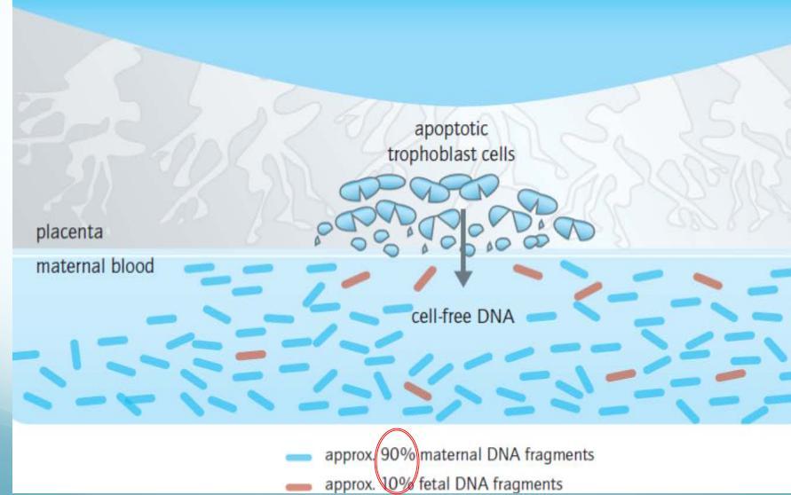ΜΗ ΕΠΕΜΒΑΤΙΚΟΣ ΠΡΟΓΕΝΝΗΤΙΚΟΣ ΕΛΕΓΧΟΣ Ανίχνευση ελεύθερου εμβρυικού DNA