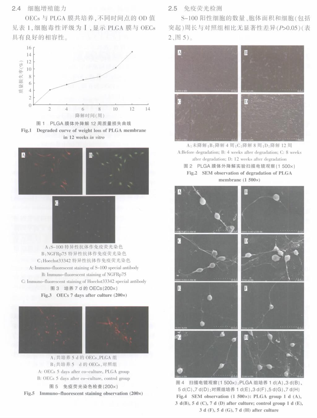 82 Journal of Tissue Engineering and Reconstructive Surgery June 2011 Vol.7 No.2 2.4 OEs PLG OD 1 PLG OEs (%) 16 14 12 10 8 6 4 2 0 Fig.