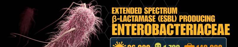 Extended Spectrum Enterobacteriaceae (ESBL) Extended-spectrum β-lactamase
