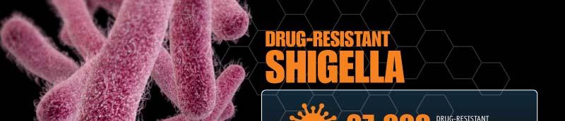 Drug-Resistant Shigella Shigella usually causes diarrhea (sometimes