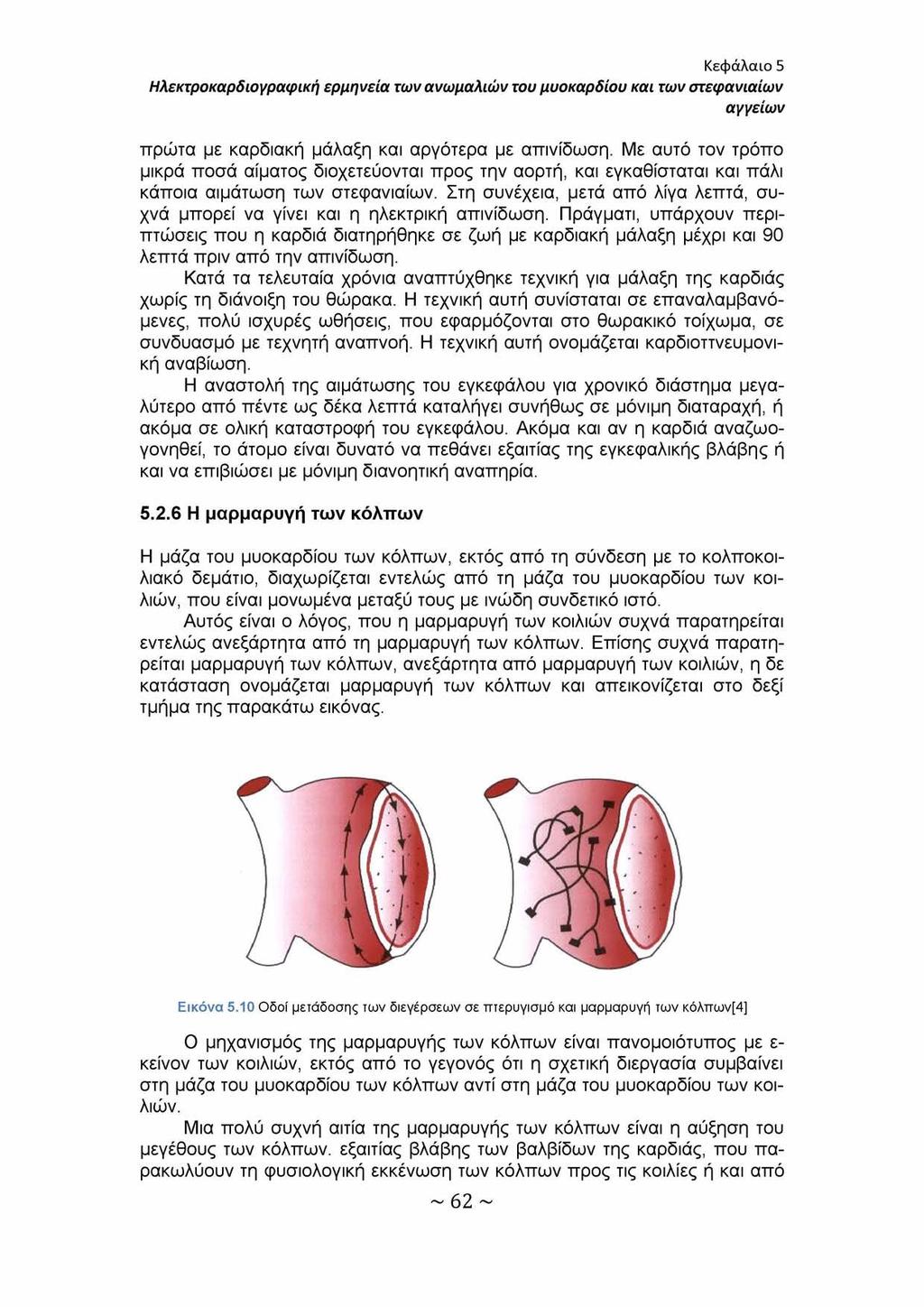 Κεφάλαιο 5 Ηλεκτροκαρδιογραφική ερμηνεία των ανωμαλιών του μυοκαρδίου και των στεφανιαίων αγγείων πρώτα με καρδιακή μάλαξη και αργότερα με απινίδωση.