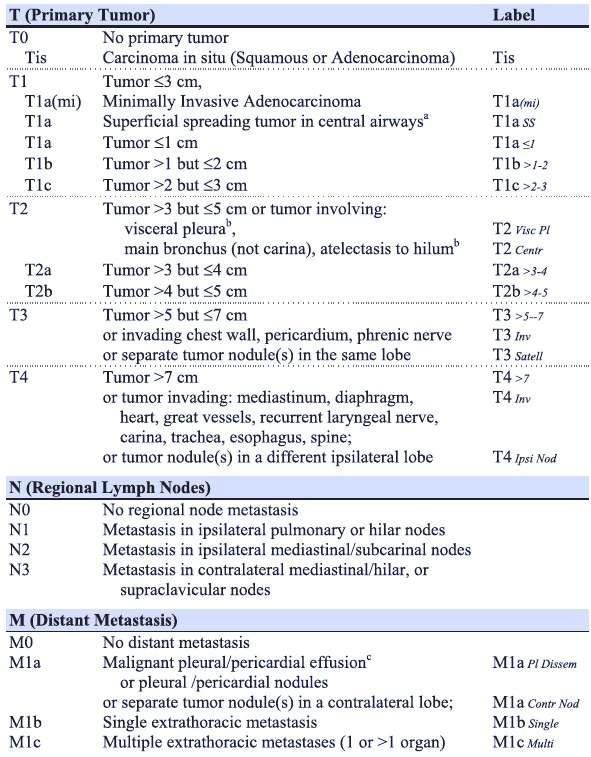 The eighth edition lung cancer