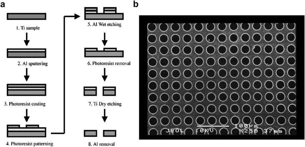 Σχήμα 12. a) Διάγραμμα ροής διαδικασιών μικροπαραγωγής για GDL τιτανίου. (b) Μικρογραφία SEM του GDL τιτανίου με μικροοπές. Χρησιμοποιώντας αυτή την τεχνική μικρομηχανικής, οι Fushinobu et al.