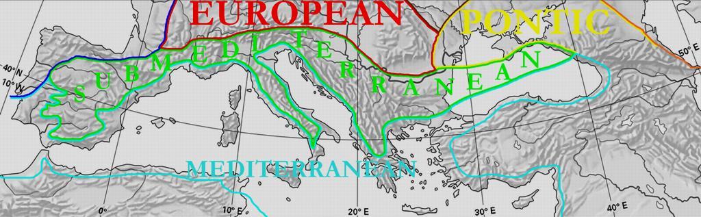 Υπομεσογειακή Τα όρια μεταξύ μεσογειακής και μεσευρωπαϊκής χλωριδικής περιοχής δεν είναι σαφή, γι αυτό η ενδιάμεση μεταβατική