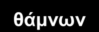 των αείφυλλων